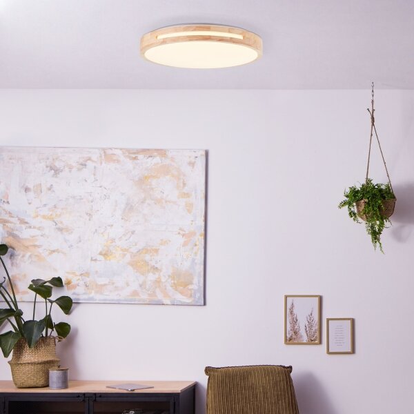 Brilliant - LED Stmievateľné stropné svietidlo WOODBURY LED/24W/230V pr. 39 cm