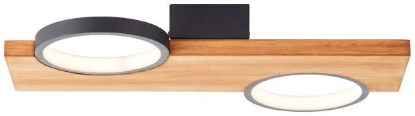 Brilliant - LED Stropné svietidlo CHEESY LED/14W/230V