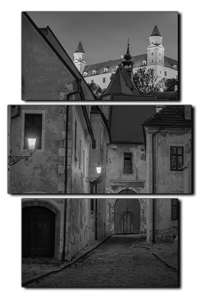 Obraz na plátne - Bratislava staré mesto s hradom vzadu - obdĺžnik 7265QC (90x60 cm)