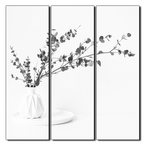 Obraz na plátne - Vetva eukalyptu v bielej váze na bielom pozadí - štvorec 3272QB (75x75 cm)