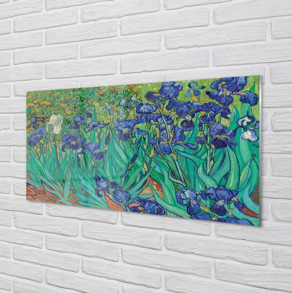 Obraz plexi Umenie kvety dúhovky 100x50 cm 2 Prívesky