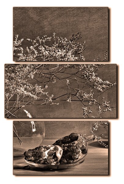 Obraz na plátne - Zátišie - vetva a granátové jablko - obdĺžnik 7274FC (90x60 cm)
