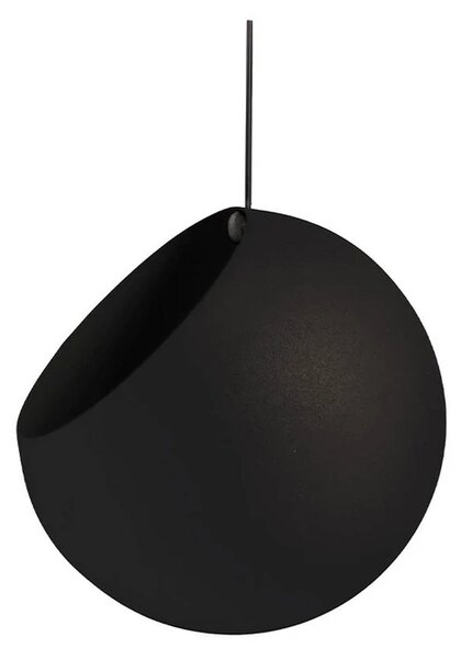 AYTM - Globe Kvetináč s Rastlinou Ø21xH32 Black