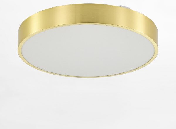 LED stropné svietidlo 40 cm 1900 lm 3000-6000K zlaté Zuma Line NADI MS724-R400-GD