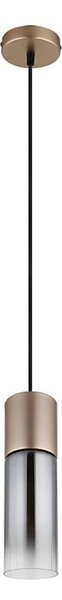 Globo 21000HCA - Závesné svietidlo ANNIKA na lane 1xE27/25W/230V, priemer 10,5 cm