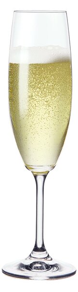 Pohár na sekt Lara 0,22 l 6 ks