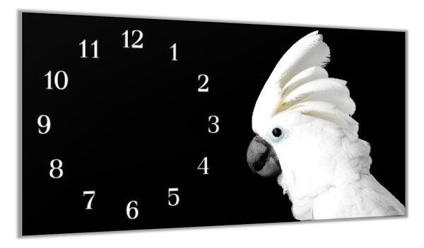 Nástenné hodiny papagáj 30x60cm IV - plexi