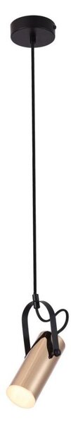 Rabalux 6429 - LED Luster na lanku RAVEN LED/5W/230V