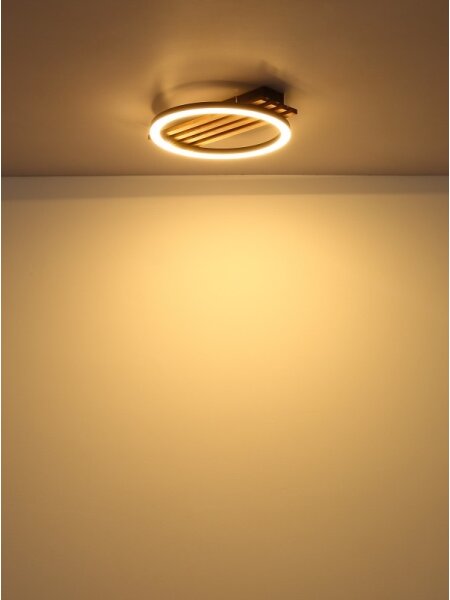 Globo 67353D1 - LED Stropné svietidlo TISHA LED/12W/230V 3000K 30x34 cm