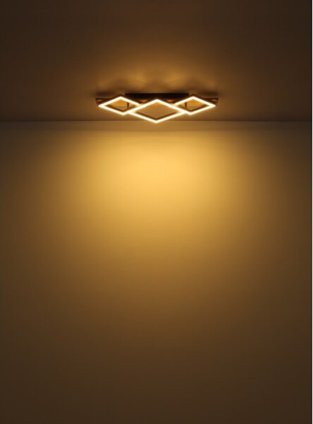 Globo 67344D2 - LED stropné svietidlo OBRIEN LED/32W/230V 3000K 31x61cm