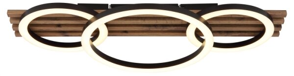 Globo 67353D3 - LED Stropné svietidlo TISHA LED/24W/230V 3000K 30x62 cm