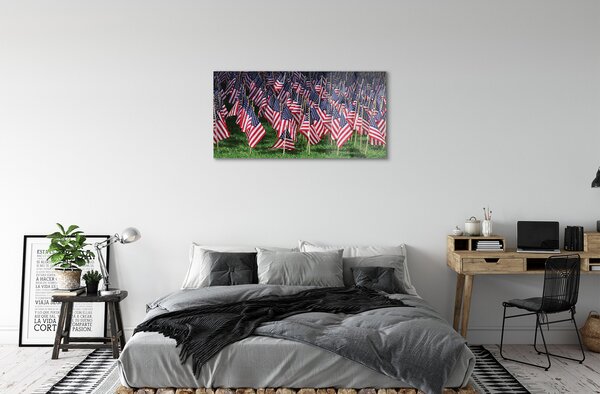 Obraz plexi Usa vlajky 100x50 cm 2 Prívesky