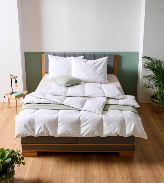 CELOROČNÁ PRIKRÝVKA, 140/200 cm, perie, páperie Sleeptex - Prikrývky & vankúše