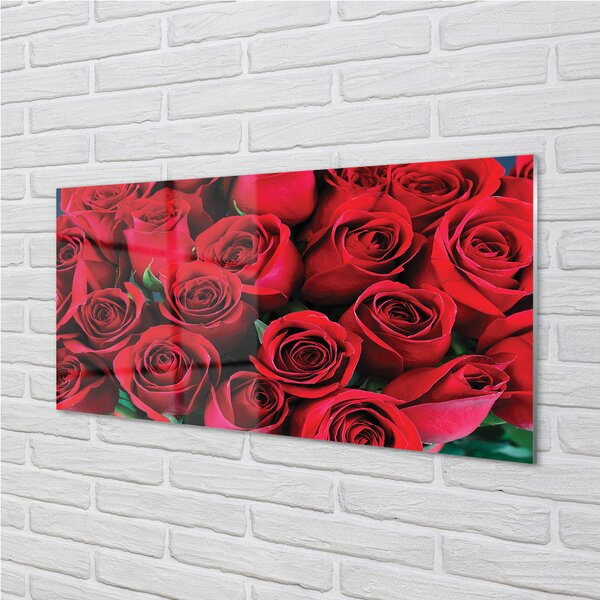 Obraz plexi Ruže 100x50 cm 2 Prívesky