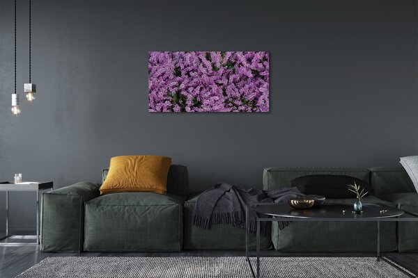 Obraz canvas fialové kvety 100x50 cm