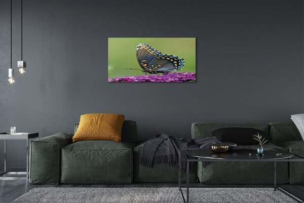 Obraz na plátne Farebný motýľ na kvety 100x50 cm