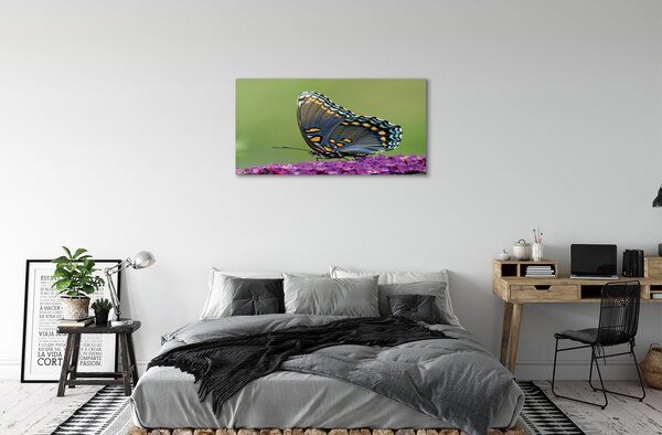 Obraz na plátne Farebný motýľ na kvety 100x50 cm