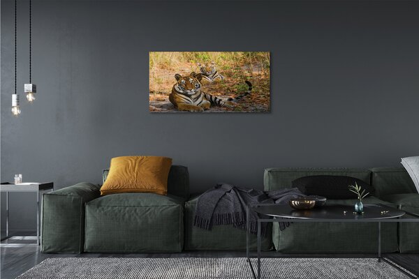 Obraz na plátne Tigers 100x50 cm
