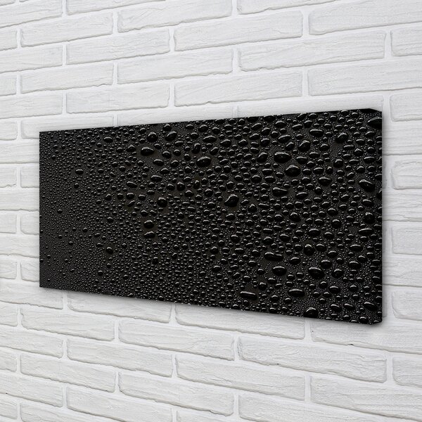 Obraz canvas Rosy kvapky vody 100x50 cm