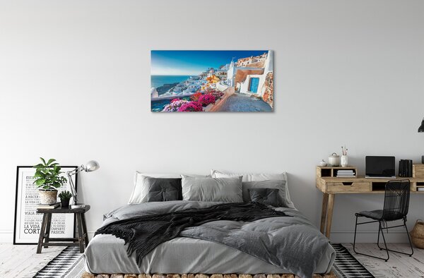 Obraz na plátne Budovy Grécko morské kvety 100x50 cm