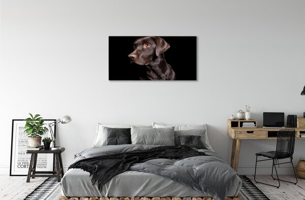 Obraz na plátne hnedý pes 100x50 cm