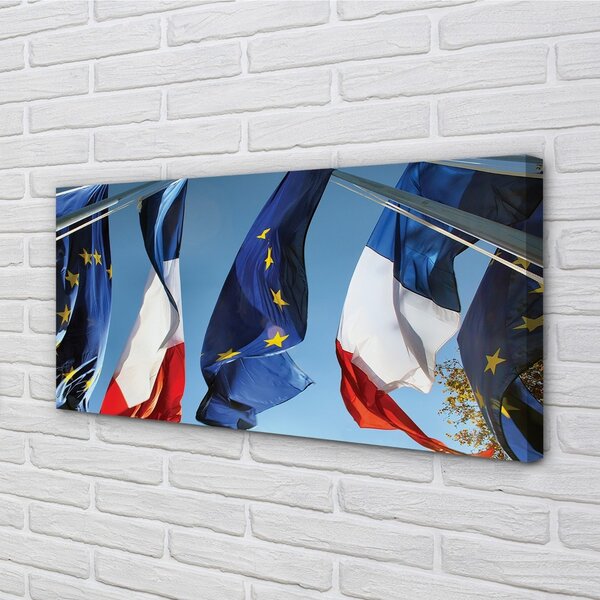Obraz canvas flags 100x50 cm