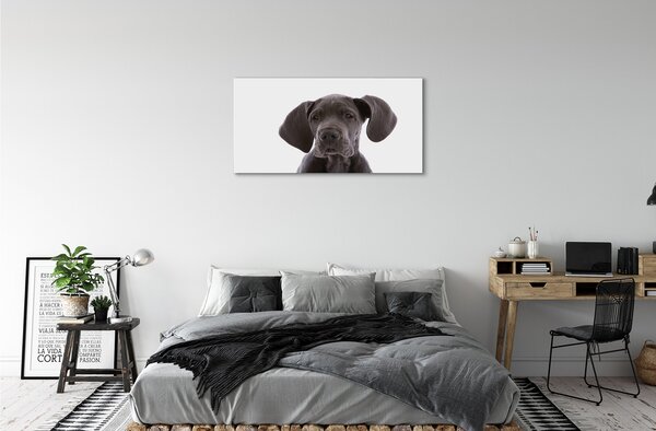 Obraz na plátne hnedý pes 100x50 cm