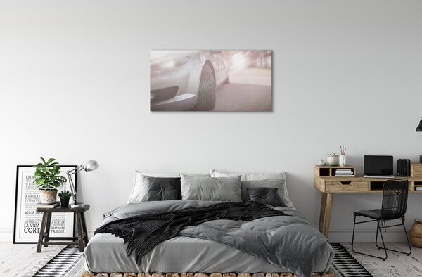 Obraz canvas Strieborné auto street tree 100x50 cm