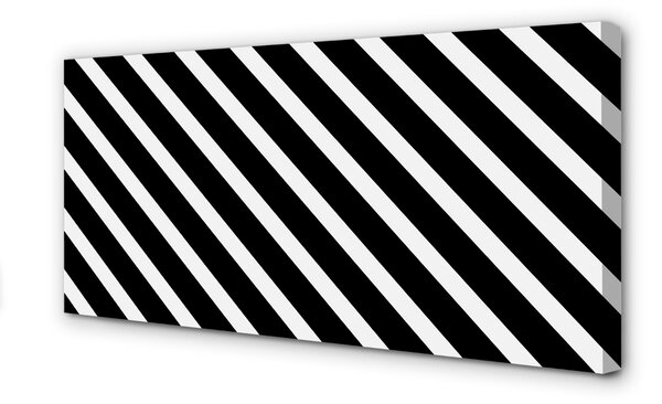 Obraz na plátne zebra pruhy 100x50 cm