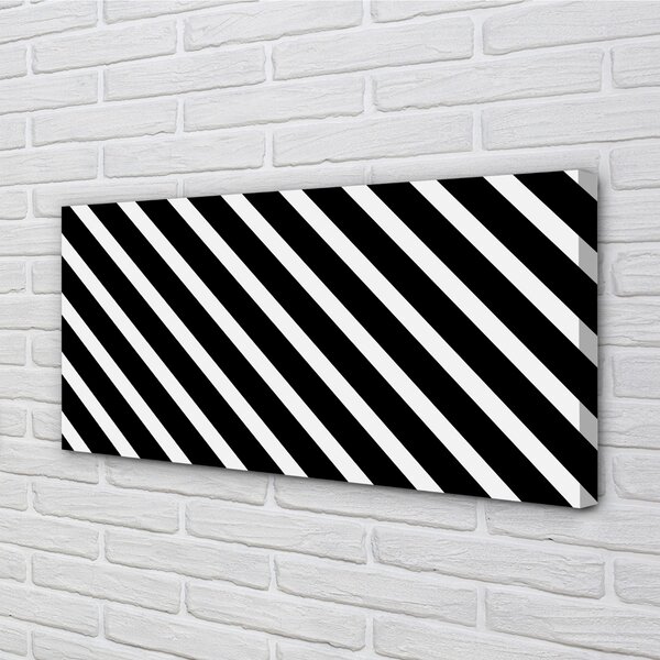 Obraz na plátne zebra pruhy 100x50 cm