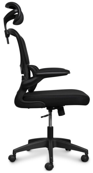 CONNECT IT COC-2500-BK - Kancelárska stolička ForHealth DeltaPro čierna