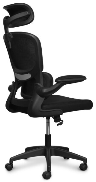 CONNECT IT COC-2500-BK - Kancelárska stolička ForHealth DeltaPro čierna