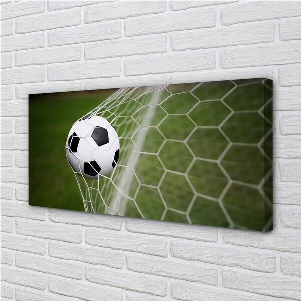 Obraz canvas Futbal 100x50 cm