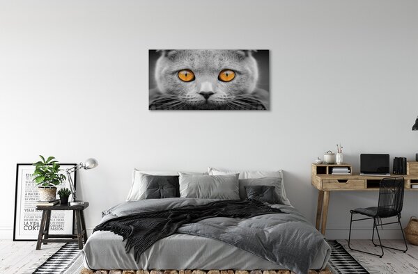 Obraz na plátne Sivá Britská mačka 100x50 cm