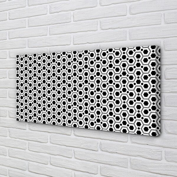 Obraz canvas šesťuholníky 100x50 cm