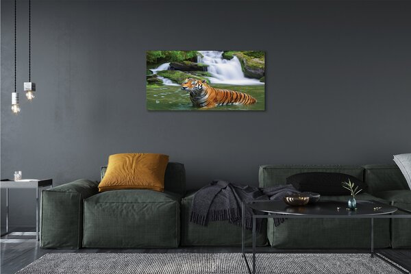 Obraz na plátne tiger vodopád 100x50 cm