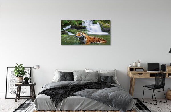 Obraz na plátne tiger vodopád 100x50 cm