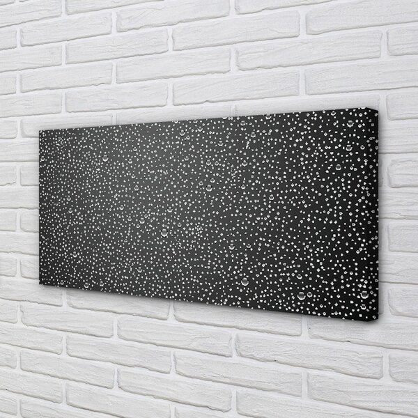 Obraz canvas Rosy kvapky vody 100x50 cm