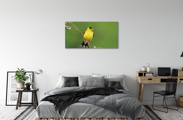Obraz na plátne žltý papagáj 100x50 cm