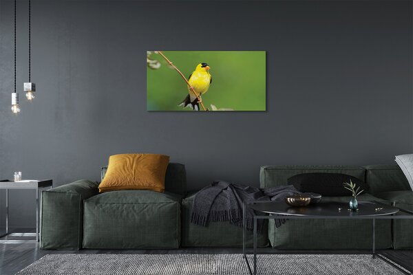 Obraz na plátne žltý papagáj 100x50 cm