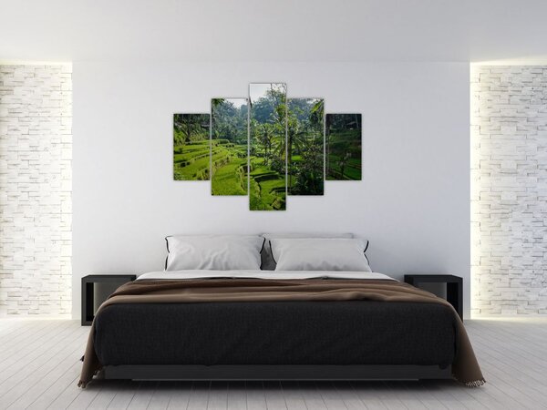 Obraz ryžových terás Tegalalang, Bali (150x105 cm)