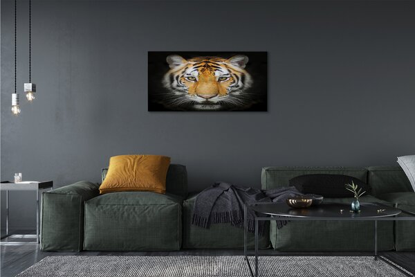 Obraz na plátne tiger 100x50 cm