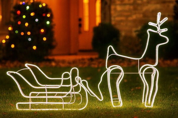 LED Vianočná dekorácia Sob so sane – teplá biela, LED Neon Flex, IP44