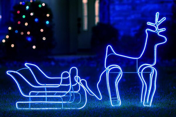 LED Vianočná dekorácia Sob so sane – modrá, LED Neon Flex, IP44