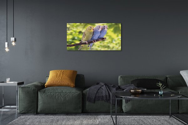 Obraz na plátne Farebné papagáj na vetve 100x50 cm
