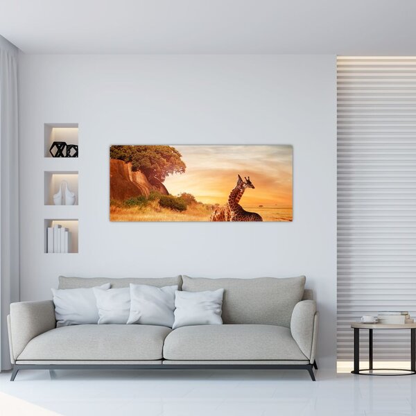 Obraz - Žirafy v Afrike (120x50 cm)