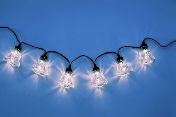 Svetelná reťaz – kvety povojníka, studená biela, 10 m, 10 LED