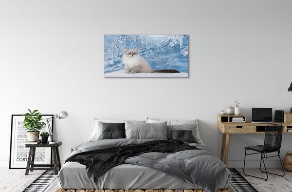 Obraz na plátne mačka zima 100x50 cm