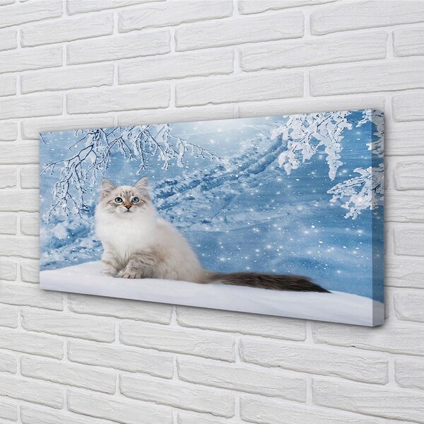 Obraz na plátne mačka zima 100x50 cm