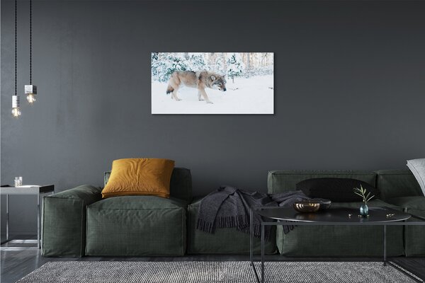 Obraz na plátne Vlk v zime lese 100x50 cm